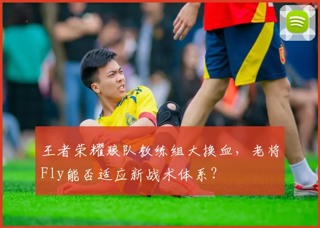 王者荣耀狼队教练组大换血，老将Fly能否适应新战术体系？